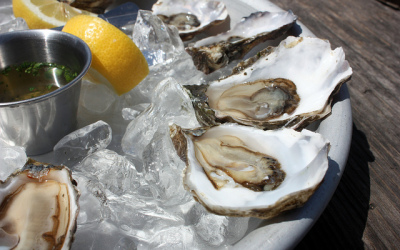 On Oysters, Petaluma and making time for “us.”